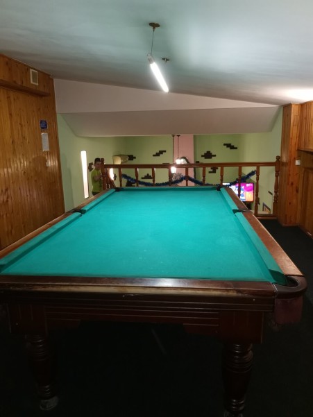 Дельфин фото №4