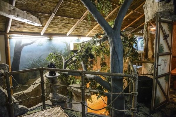 Golden Gavas фото №15