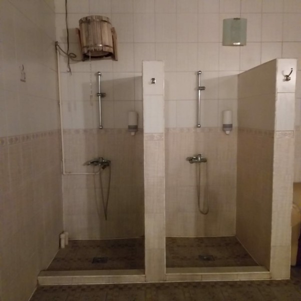 Дельфин - ваша баня фото №6