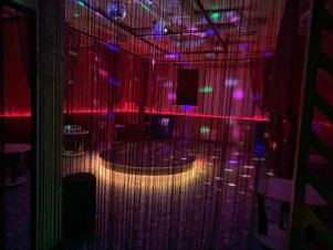 ������ ���� ������� ������