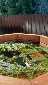 ����� ���, �������� ���� �� ������ ������