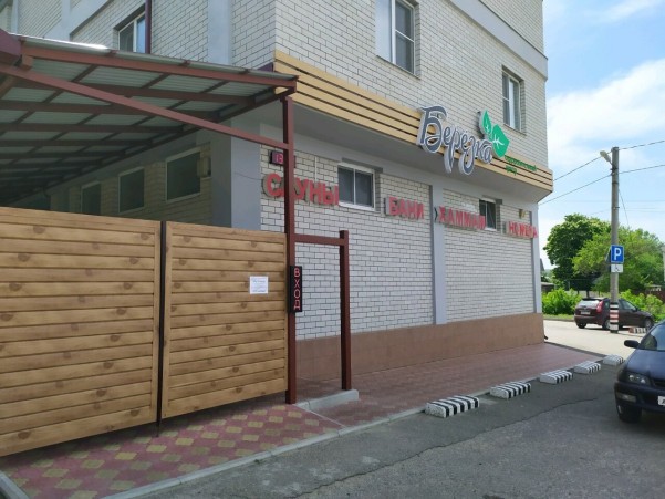 Березка фото №17