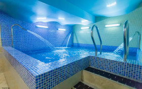 ����� ������� ����