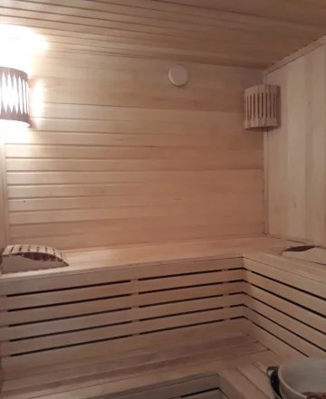 Бамбук фото №1