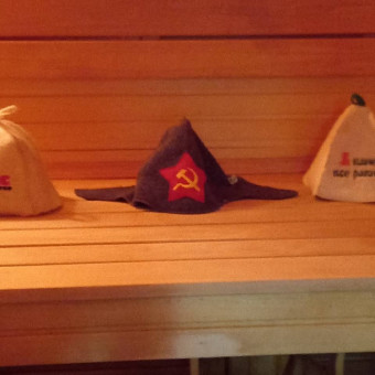 Организация Harvia