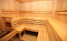 ����� ������� ����