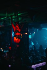 Ночной клуб Mad Bison Тюмень