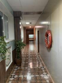 ����� ����� ����