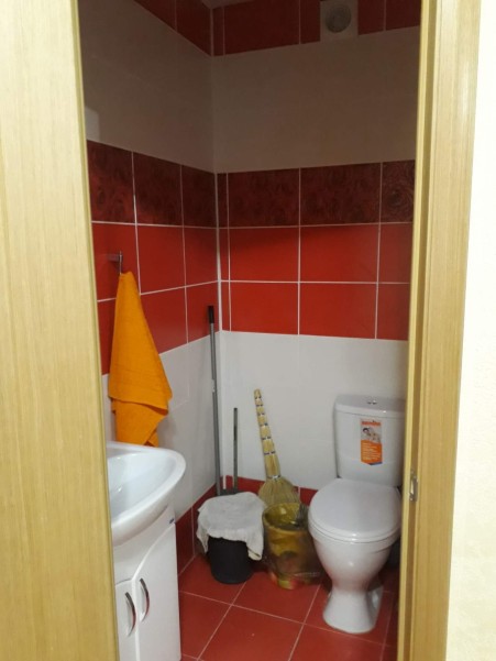 Бамбук фото №7