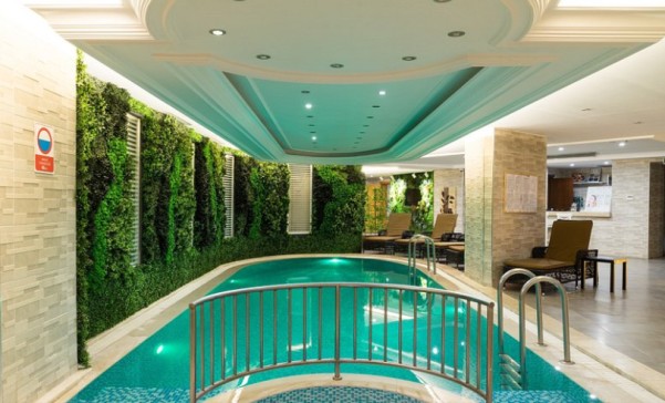 Felicity SPA фото №11